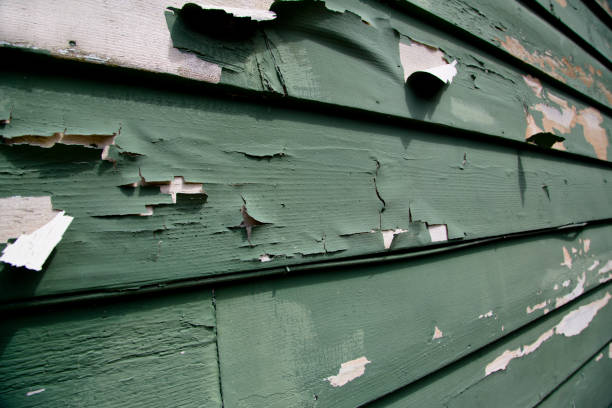 Best Shed Removal  in Atlantic Beach, NY